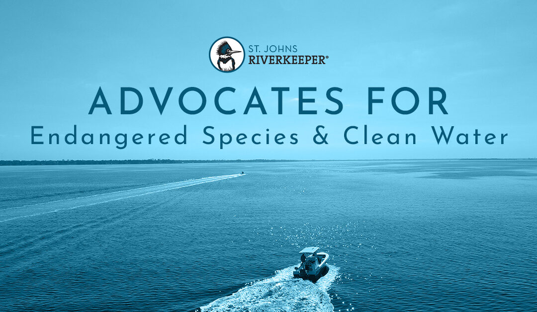 SJRK Advocates for Endangered Species & Clean Water