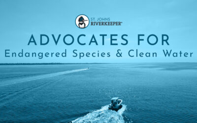 SJRK Advocates for Endangered Species & Clean Water