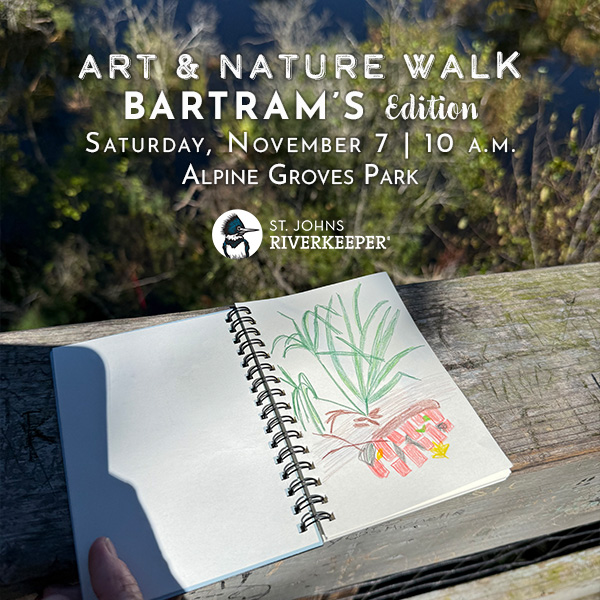 Art and Nature Walk